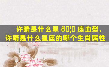 许晴是什么星 🦊 座血型,许晴是什么星座的哪个生肖属性